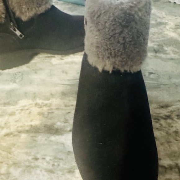 UGG CALF BOOTS BRAND NEW NEVER WORN US SIZE 9.5 - Picture 9 of 13